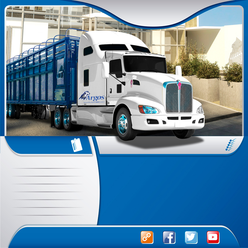 Fletes en camiones trailer